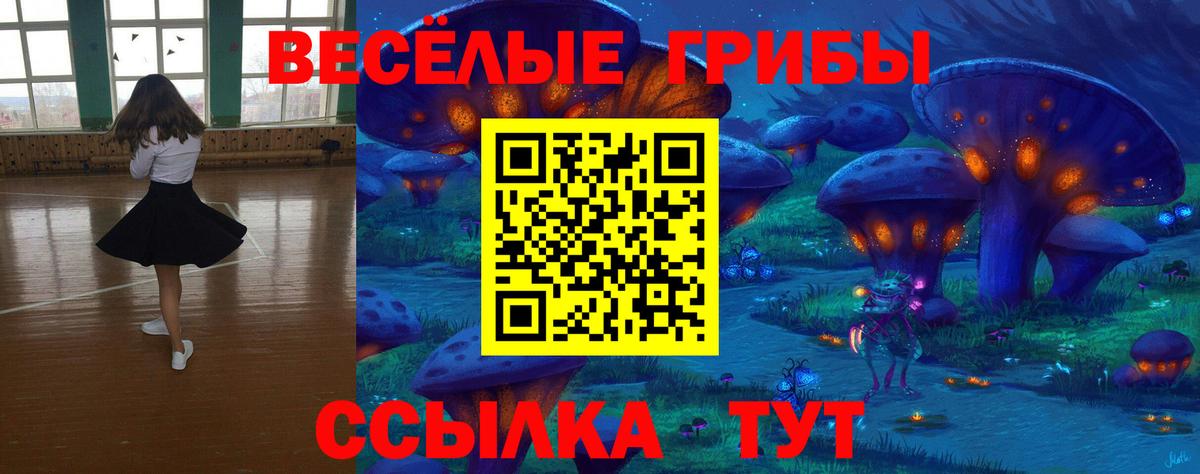 Галлюциногенные грибы GOLDEN TEACHER Наро-Фоминск