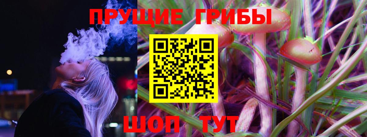 Наро-Фоминск  Псилоцибиновые грибы Magic Shrooms  купить закладку  Галлюциногенные грибы ЛСД  Вход с VPN 